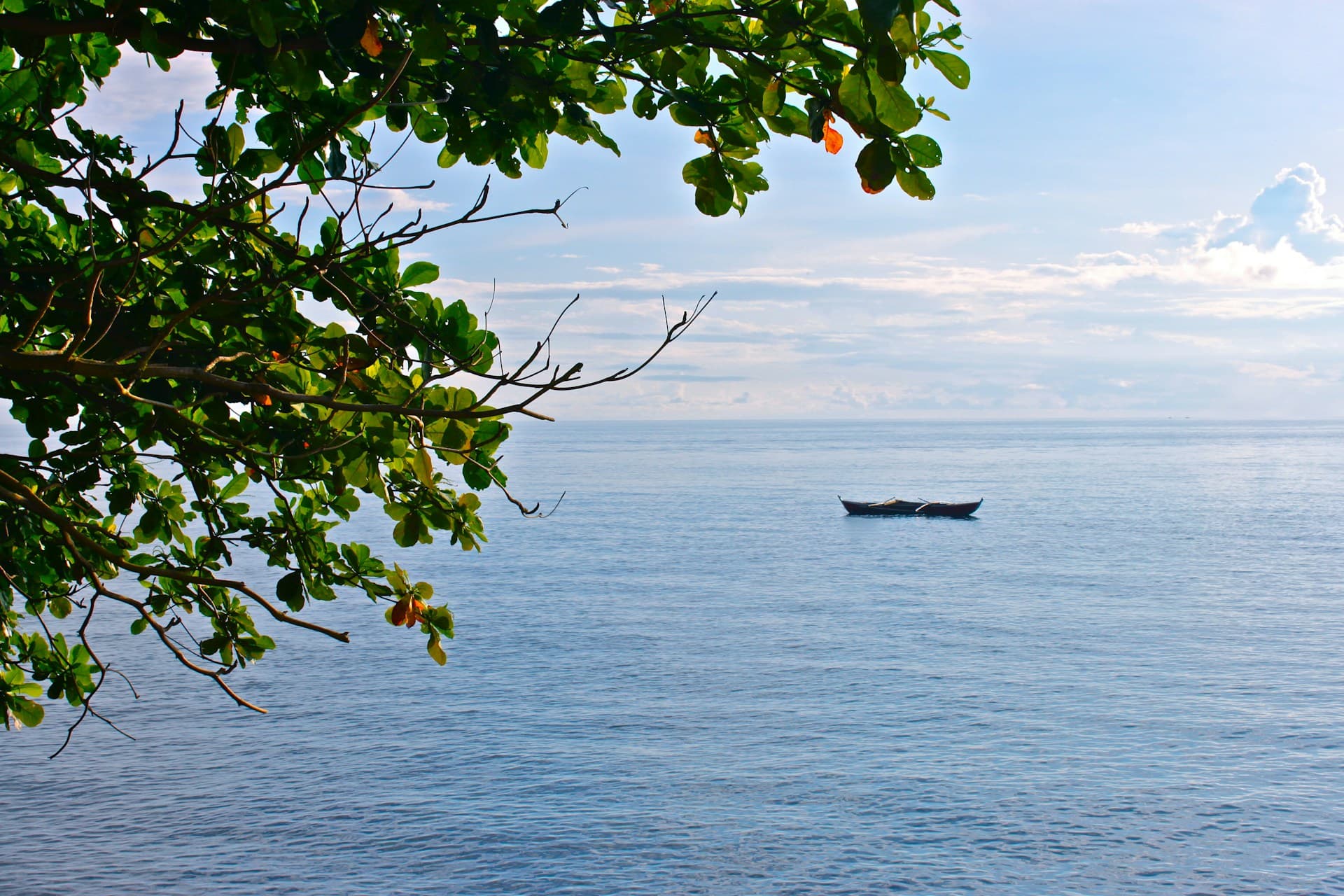 patricia-ann-concepcion-MKbBUWIWh_I-unsplash