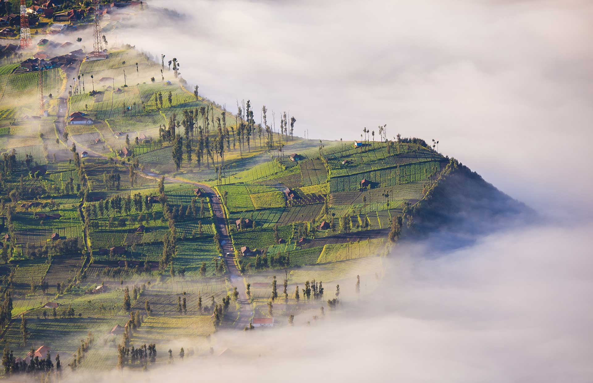 village-and-cliff-at-bromo-volcano-in-tengger-seme-2024-12-02-16-38-55-utc